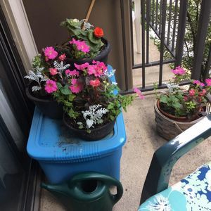 Meet your Posher, Christine